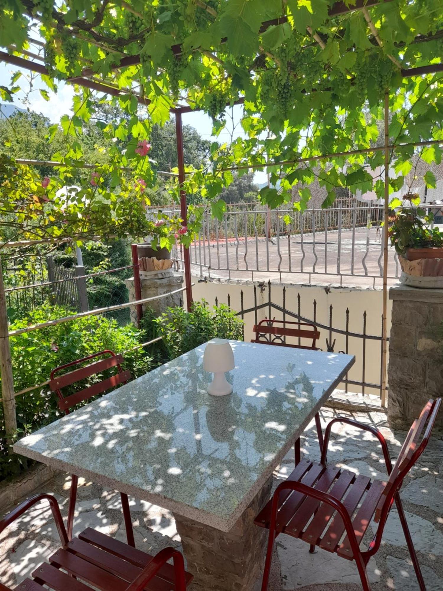Apartments Kovacevic Petrovac Cameră foto