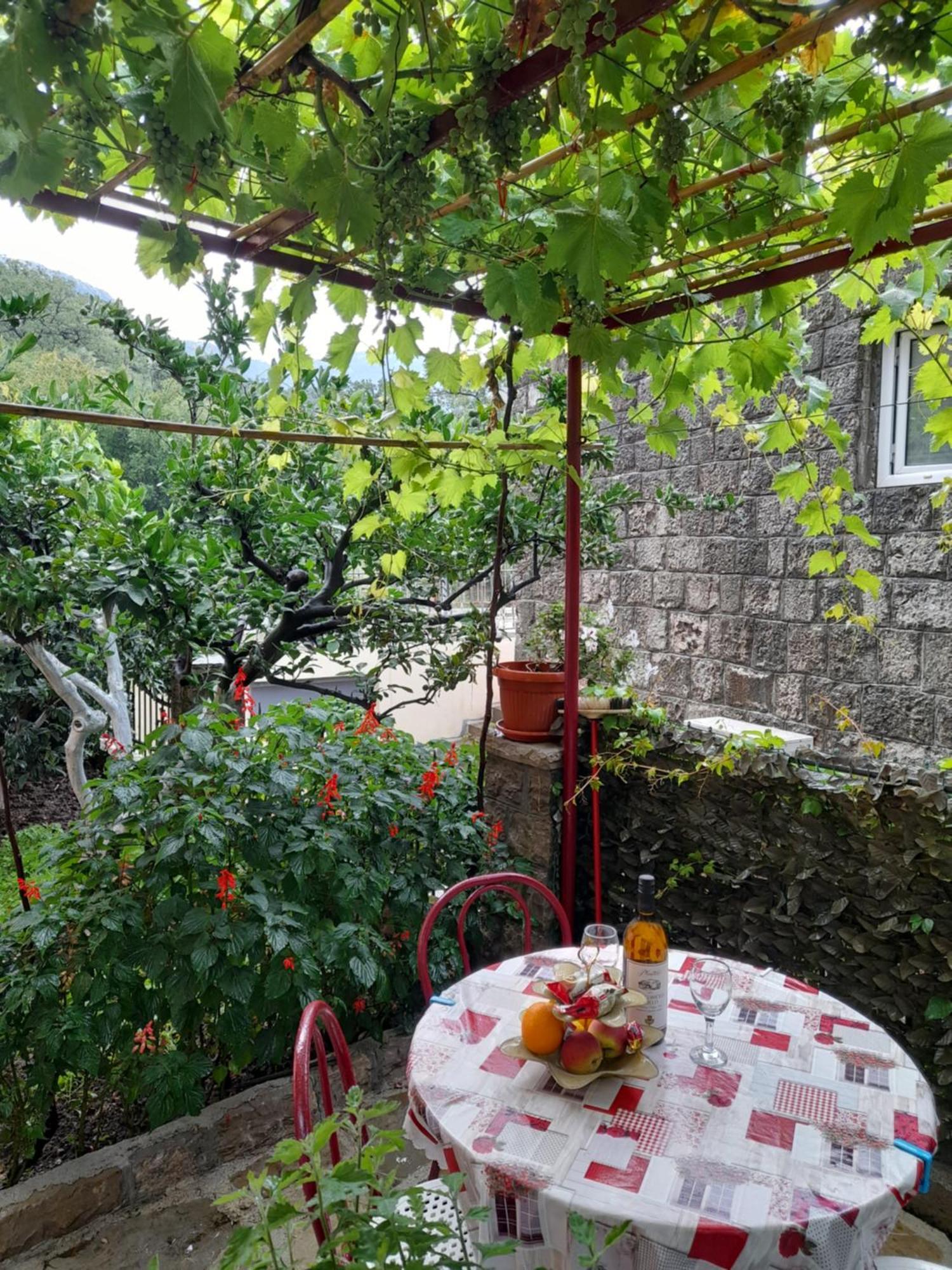 Apartments Kovacevic Petrovac Cameră foto